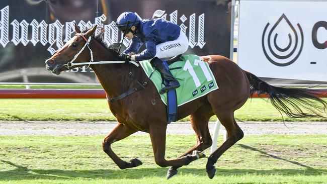 Promising Coolmore filly Lutetia wins at Newcastle on July 13. Picture: Bradley Photos