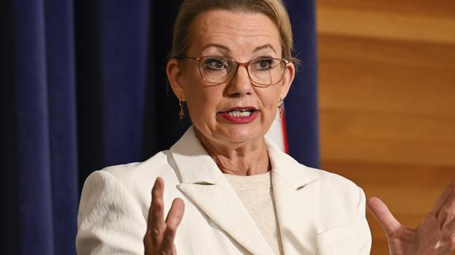 Sussan Ley has been elected Liberal leader in the wake of her party’s May 3 election defeat. Picture: NewsWire / Martin Ollman