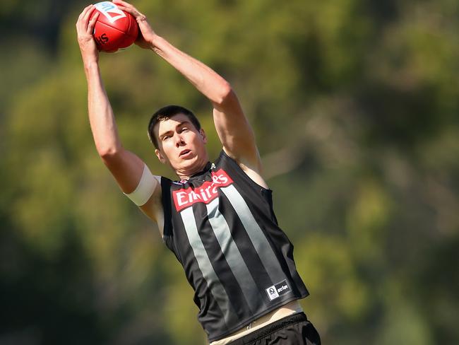 Mason Cox is an outside chance of playing AFL this season.