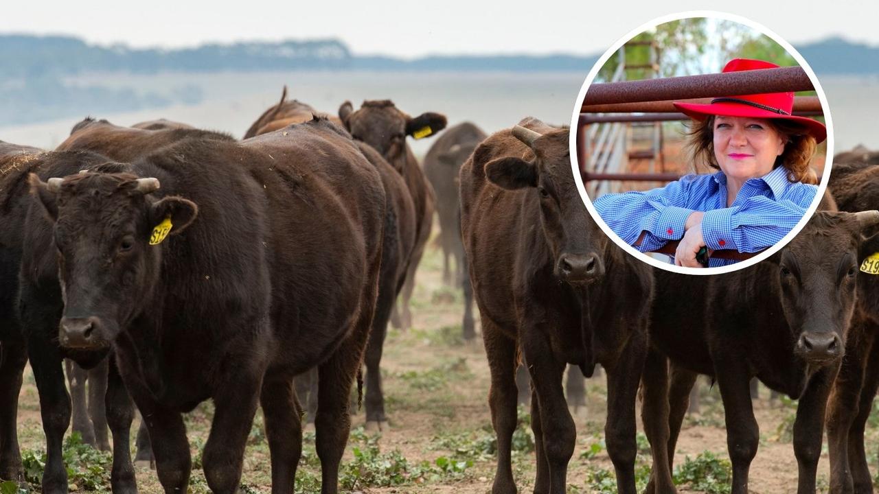 Gina Rinehart snaps up 7000ha NSW cattle station