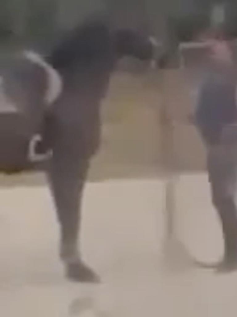 The footage shows a disturbing attack on the horse.