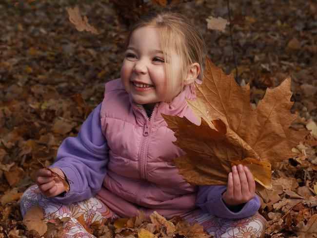 Macie Beedle 3 playing in the leaves at parliament lawns Hobart.  Picture: Nikki Davis-Jones