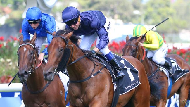 Tulip will lead Team Hayes’ three-pronged attack in the Sir Rupert Clarke Stakes. Picture: AAP