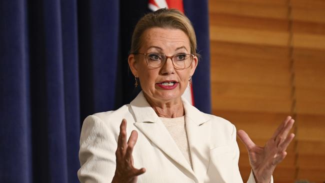 Leader of the Opposition Sussan Ley holds a press conference at Parliament House in Canberra. Picture: Martin Ollman