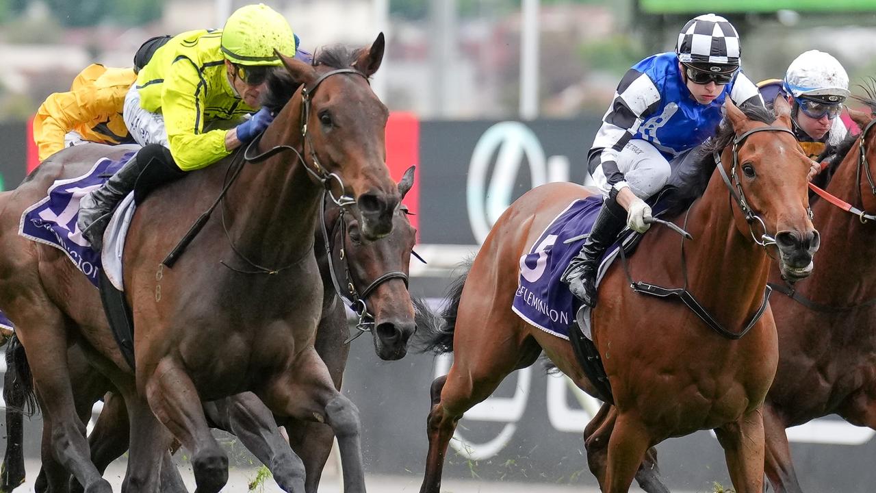 Nugget (right) has been well supported in race 9 at Kembla. Picture: Getty Images