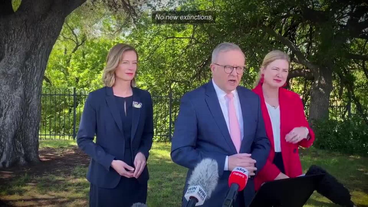 Anthony Albanese spruiks his captain's call for Lyons, Rebecca White