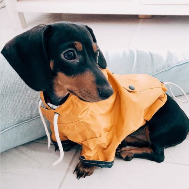 Kmart yellow outlet raincoat