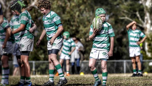 Nine parents have two son playing in different Grand Final matches. Picture: David Maclean @pb_sportspics