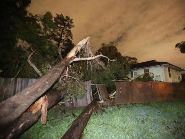 Trees were sent crashing onto homes in Western Sydney. Picture: Bob Barker.