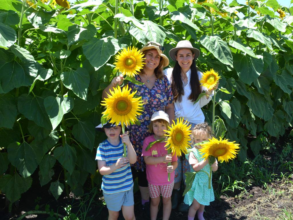 Lilyvale Flower Farm's impressive sunflower crop saw dozens flock to the sunny fields on Sunday, December 22, 2024. (from left) Emily Banhidi, Meghan Wilson, Riley Wilson, Matilda Banhidi and Brydee Wilson. Photo: Jessica Klein