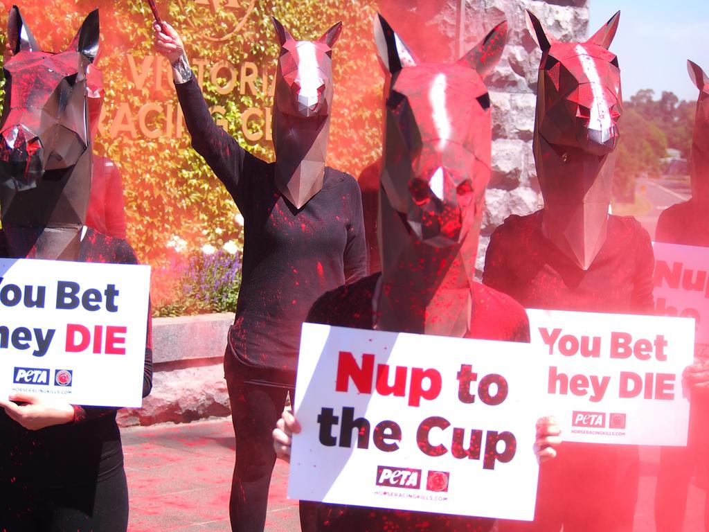 Protesters are now common at the Cup. Picture: PETA