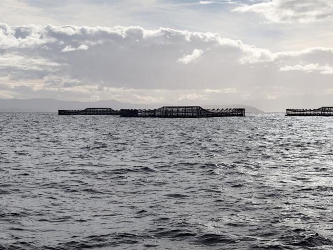 Anger at ‘stealth’ plan for fish farms in the Bass Strait