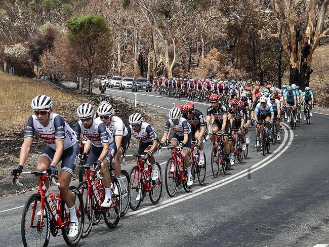 CYCLING - Tour Down Under - Subaru Stage 3 - 23/01/20 - Unley to Paracombe.The peloton makes its way out of Lobethal - with eventual stage winner and Ochre Jersey winner Richie Porte (4th wheel) sitting in behind team mates  Picture SARAH REED