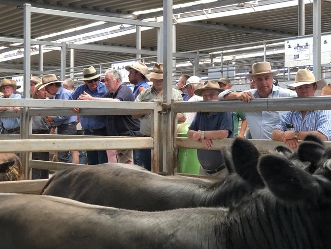 Bidding action at the rails at the Wodonga store sale. Picture: Petra Oates