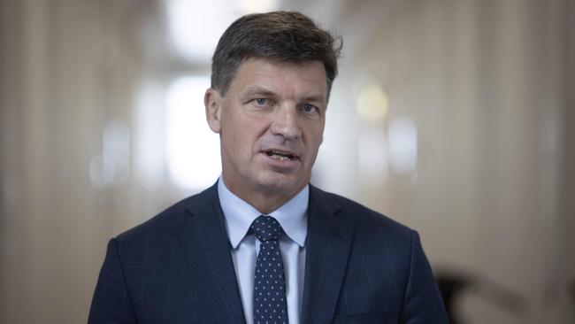 Angus Taylor. Picture: NCA NewsWire / Gary Ramage