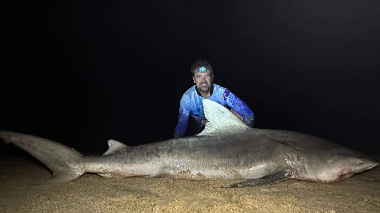 Peter Hassett, 40, was fishing in the Noosa River when he reeled in this bull shark that measured more than 2.5m. Picture: Contributed