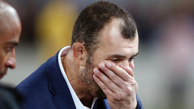 Wallabies coach Michael Cheika looks on after losing The Rugby Championship and Bledisloe Cup