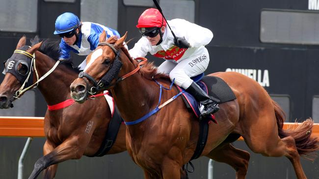 Gallant Spur (outside). Picture: Robert McKell