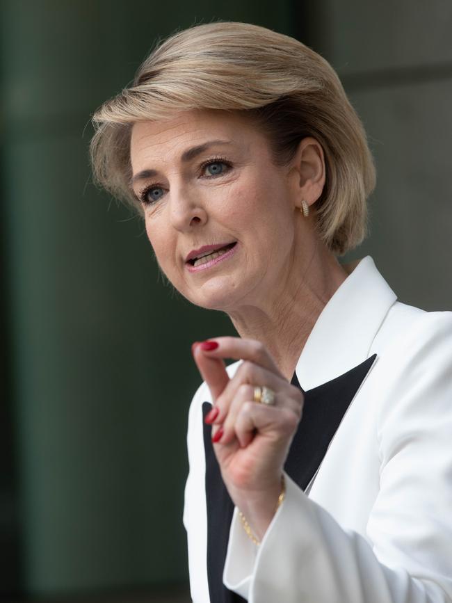 Federal Skills Minister Michaelia Cash.