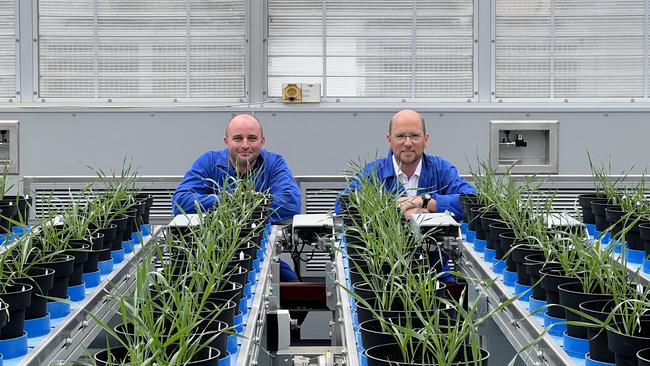 CSIRO research scientist Dr Anton Wasson and New Edge Microbials head of research and development Dr Simon Speirs are working on a collaborative project examining soil bacteria that could boost wheat crop production in low-moisture soil. Picture: Supplied