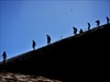 Tourists descend Ulura in the Northern Territory