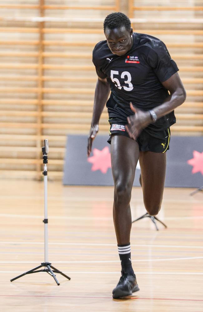 Towering Leek Alleer has springs for legs. Pictures: Russell Millard