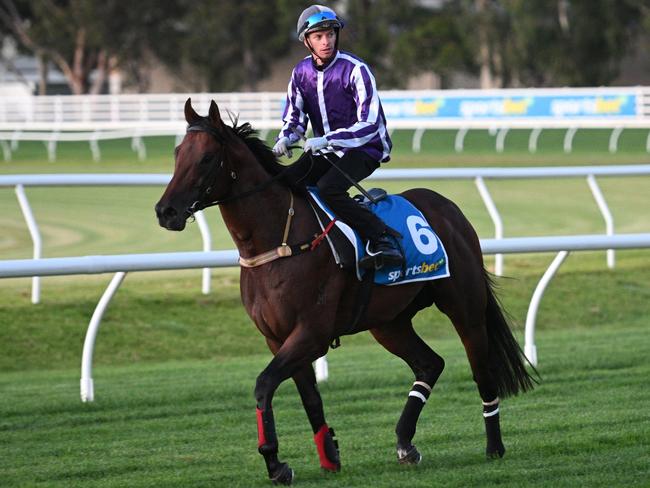 MELBOURNE, AUSTRALIA - FEBRUARY 18: Michael Dee riding Espionage during gallops ahead of the Sportsbet Blue Diamond meeting, at Caulfield Racecourse on February 18, 2025 in Melbourne, Australia.  (Photo by Vince Caligiuri/Getty Images)