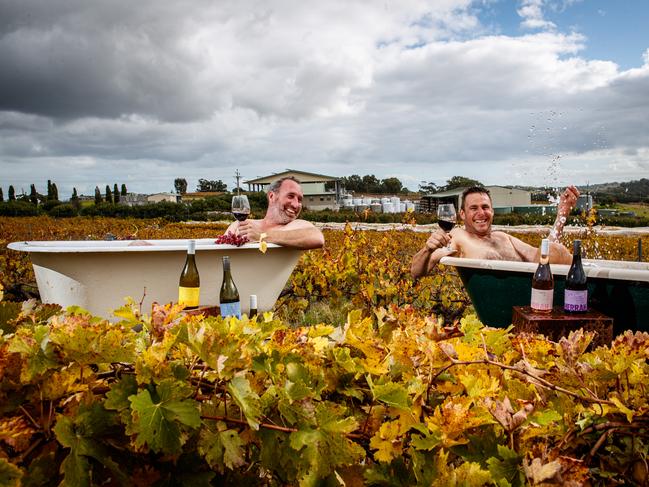 14/5/2020 McLaren Vale grape and fruit grower Mark McCarthy (R) with winemaker Alex Sherrah at McCarthy's Orchard. Mark has started a series called Bathtime Bevies With Macca in which he shares a bath and coversation with winemakers across the country. Picture MATT TURNER.