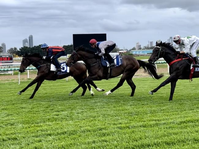Horses trial on the new Gold Coast Turf Club track for the first time. Picture: GCTC”