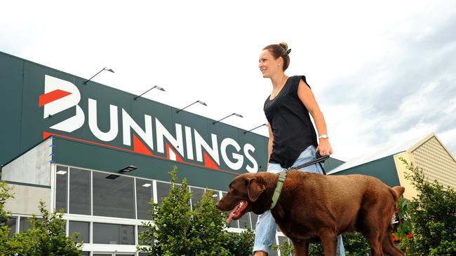 Plans for the Bunnings Carrara warehouse, a follow-on from a Burleigh warehouse opened in 2014, were no walk in the park.