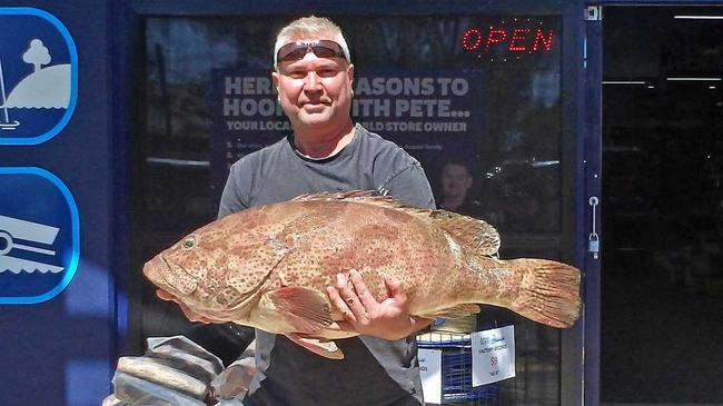 GREAT TRIP: Jason Below boated this gold spot cod at North Reef while on a five-hour Cougar One charter. Picture: www.fishingnoosa.com.au