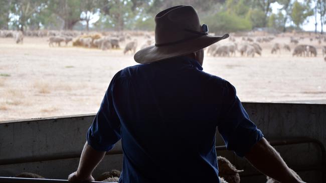 Farming is hard enough without having livestock stolen, property damaged and being harassed for doing a job you love. Picture: Generic