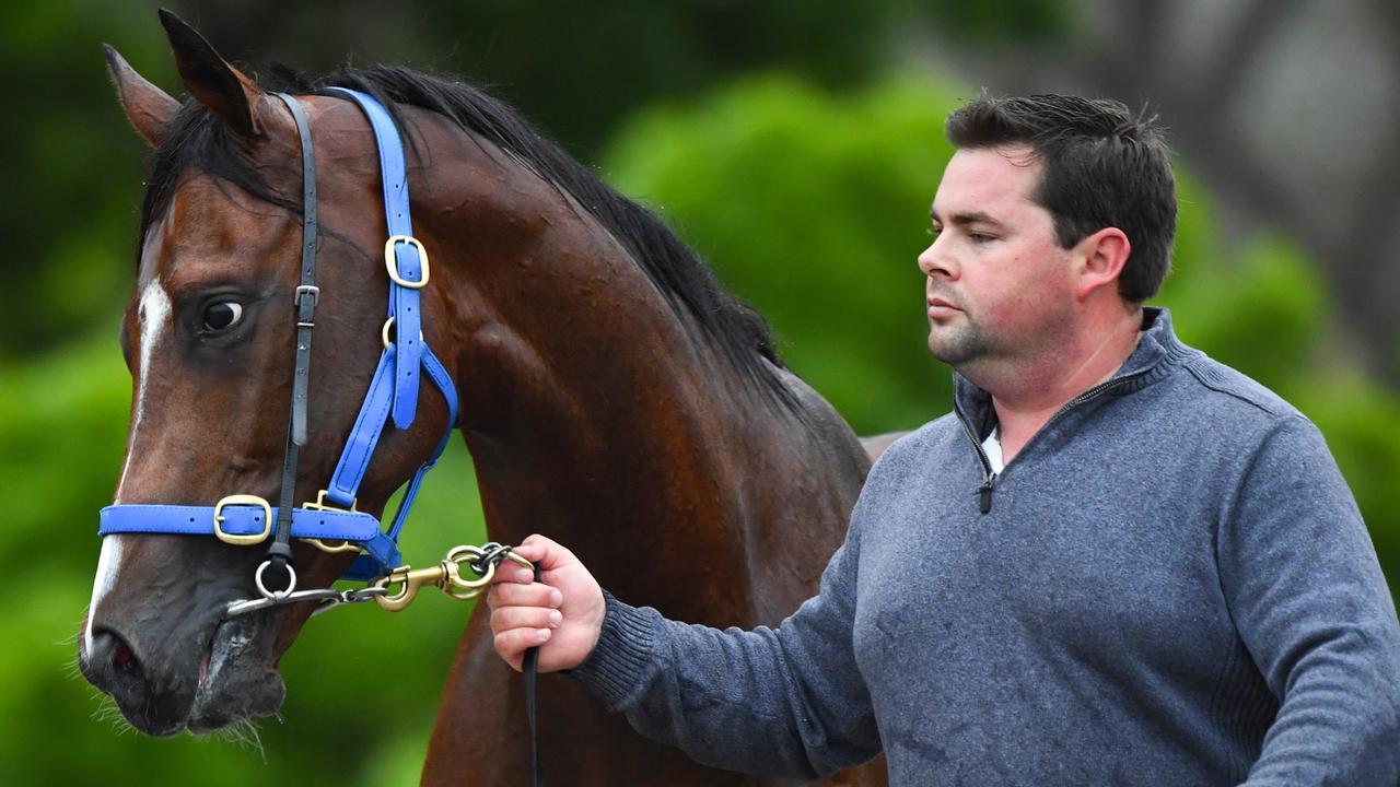 Cox Plate 2019: Trainer Richard Litt has faith in Castelvecchio ...