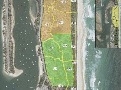 The first stage of the littoral rainforest project and planned restoration areas along Federation Walk.