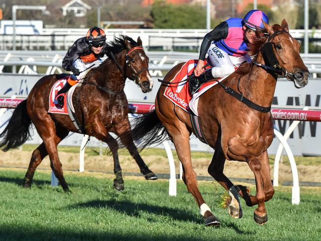 Vega Magic ridden by Damien Oliver wins the Lister Regal Roller Stakes at Caulfield Racecourse. Picture: John Donegan/Getty Images