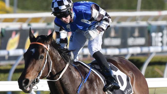 Tactical Advantage is a big hope in the Falvelon Quality. Picture: AAP