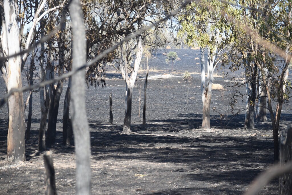 The aftermath of where the Grantham fire burned through 123 hectares along Philps Rd,. Picture: Ali Kuchel