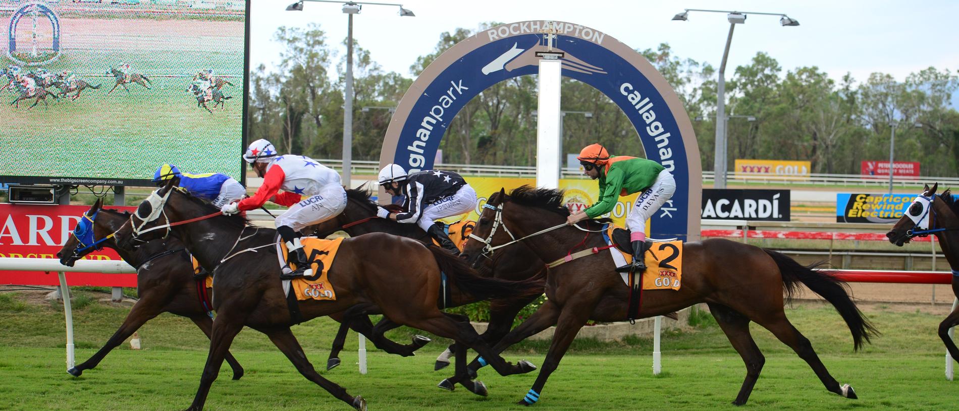 Callaghan Park in Rockhampton is a favourite for racegoers across the state. PICTURE: RACHAEL CONAGHAN