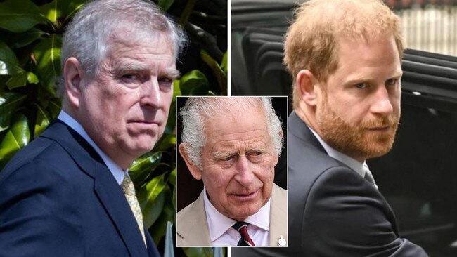 Both Andrew and Harry face uncertain futures, so what might they say or do if push comes to shove? Pictures: Mark Kerrison/In Pictures via Getty Images, Cameron Smith/Pool/AFP, Kate Green/Getty Images