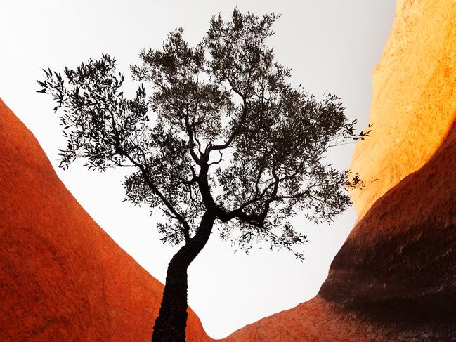 A shot titled Uluru Glow. Picture: Supplied (Louise Denton)
