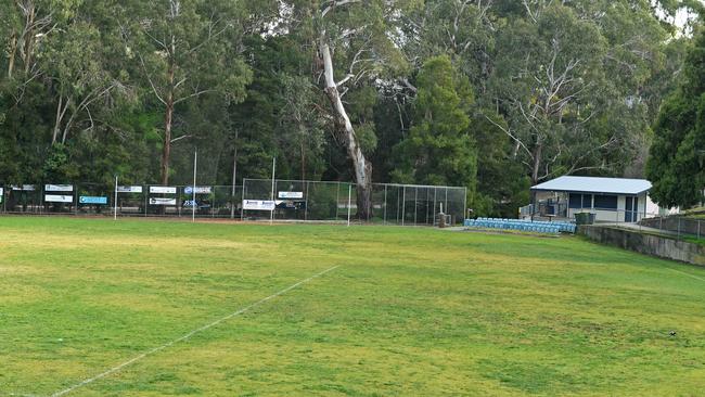 Complaints were raised about dog poo on Bridgewater Oval two years ago – it’s a hazard for training and matches. Picture: Tom Huntley