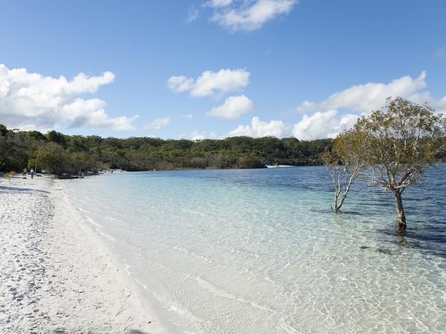 Lake McKenzie is a freshwater lake on Fraser Island, Queensland, Australia. Photo: iStock