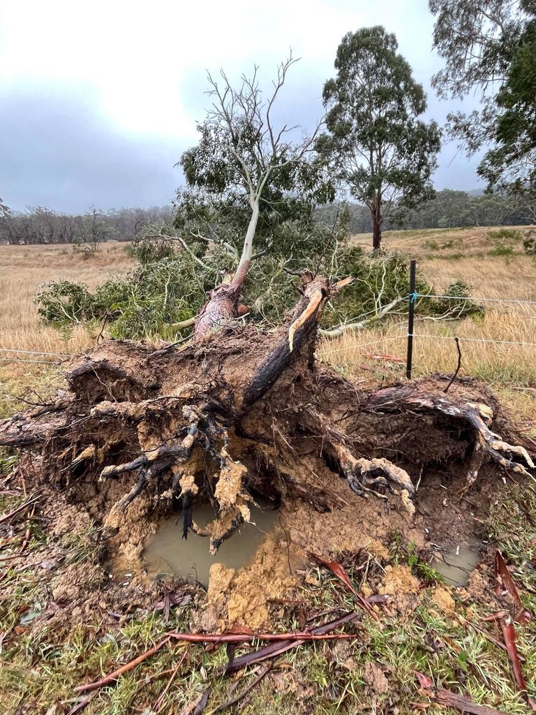 Damage after wild storms destroyed homes and left towns without power in parts of Victoria. Picture: Zoe Phillips