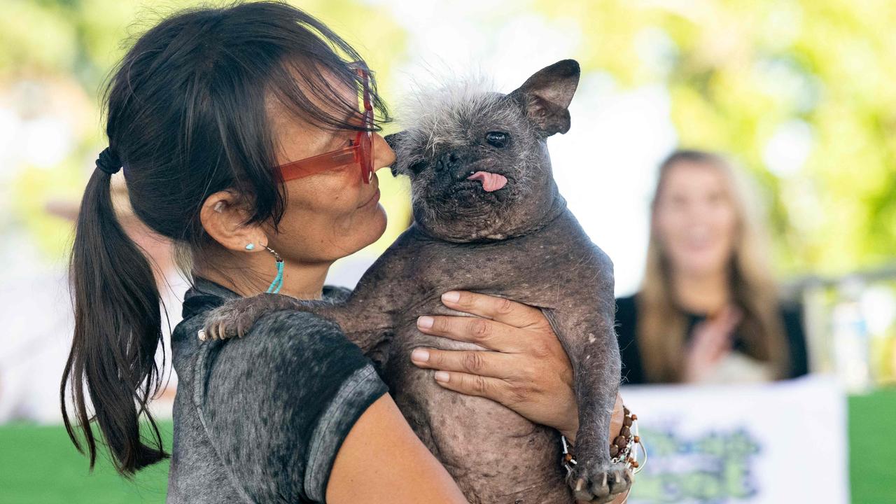17-year-old Chinese crested Mr Happy Face has been crowned the World's Ugliest Dog at the annual contest in California in the US on June 24. Picture: Josh Edelson/AFP