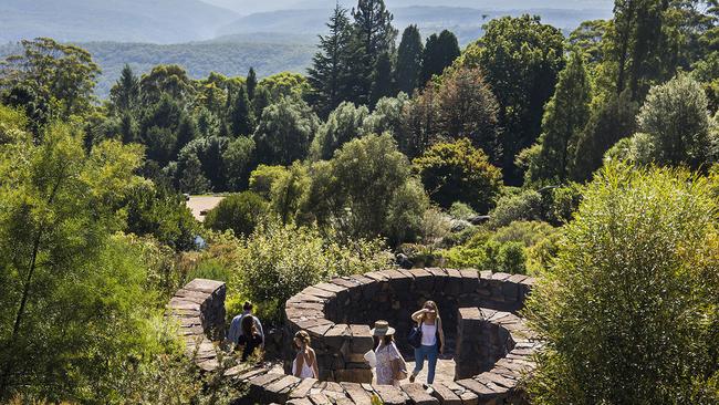 The Blue Mountains Botanic Garden at Mount Tomah is back in business. Picture: Destination NSW