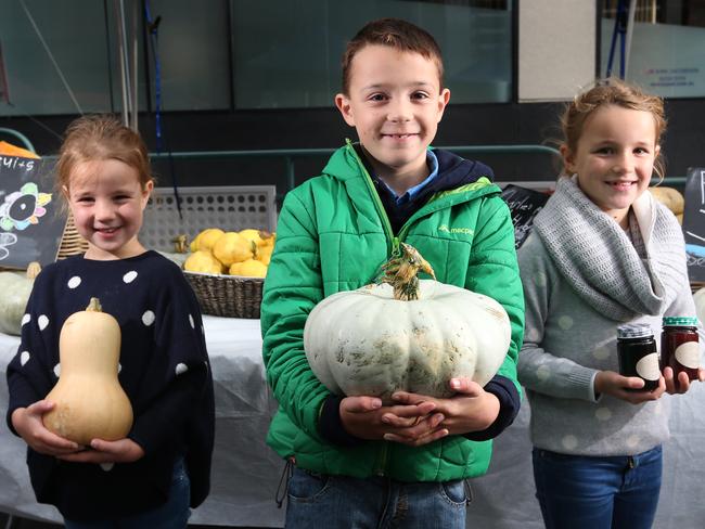 Tole siblings from Cressy L-R Georgie 6, Charlie 9, Phoebe 7. The siblings have grown pumpkins and berries to make jam at their parents farm and have just started a have a stall at the Farm Gate Market in Hobart.