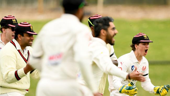 Moorabbin celebrates the wicket of Ormond opener Rory Freeman on Saturday. Picture:Josh Chadwick