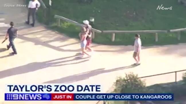 Taylor and Travis Sydney Zoo Adventure, Kangaroo Feeding Fun (9News)