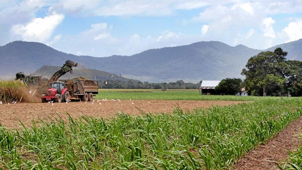 Growers are due to take back control of Mossman Mill. Picture: Cairns Post