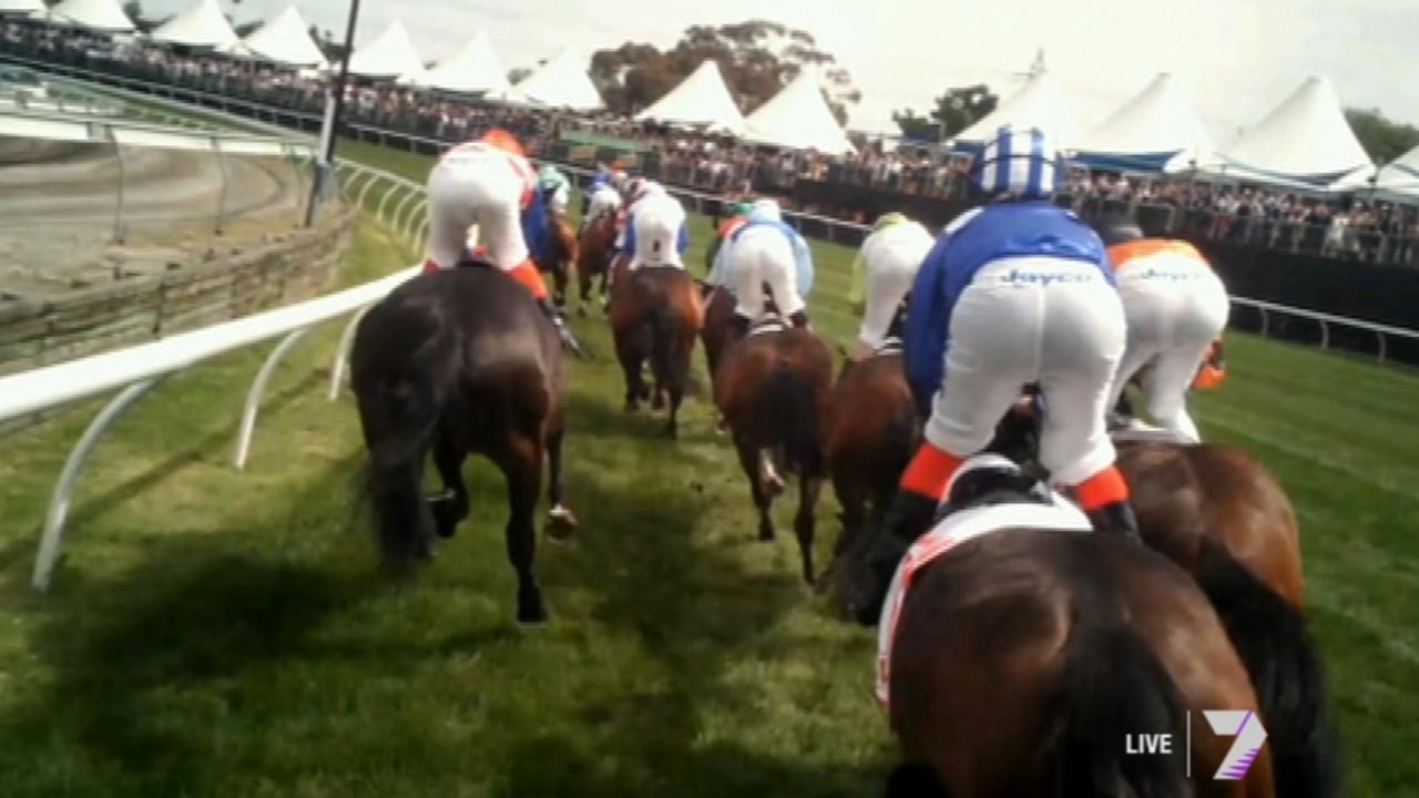 Images from Channel Seven's  jockey-cam  during the Melbourne Cup. 
Credit: Channel 7